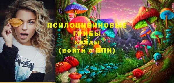 дурь Кукмор