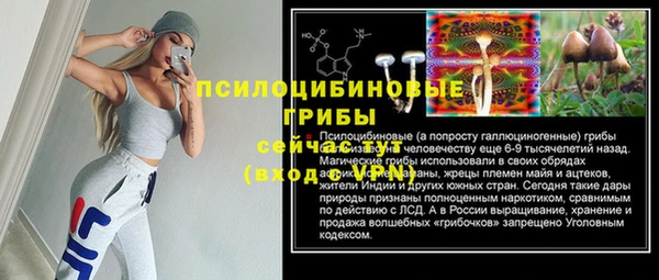 хмурый Кулебаки