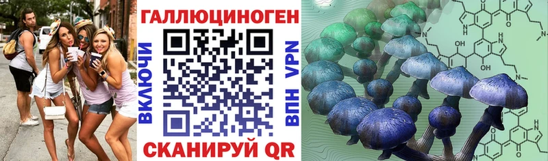 Галлюциногенные грибы GOLDEN TEACHER  Альметьевск 