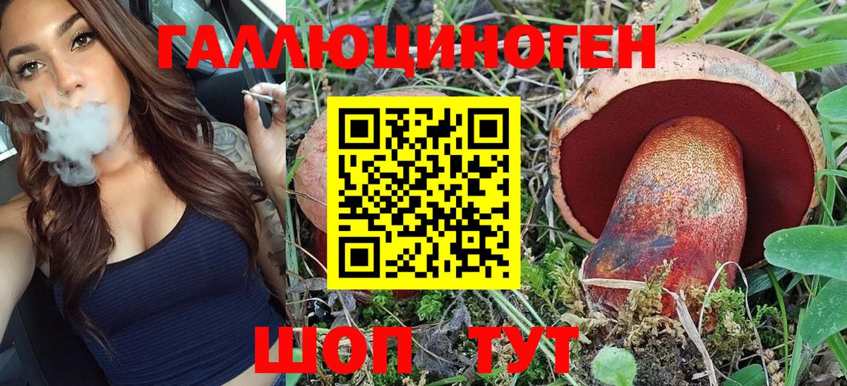 Псилоцибиновые грибы прущие грибы Альметьевск
